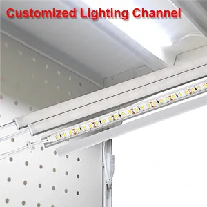 High-Brightness Custom Waterproof IP20 IP65 Single-Color Adjustable Brightness LED Light Strip